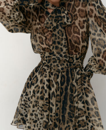 Chiffon dress LEO