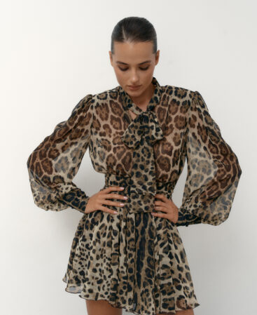 Chiffon dress LEO