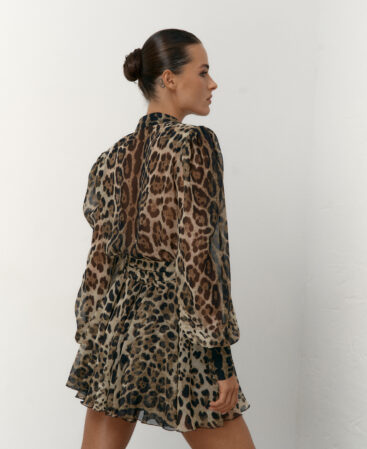 Chiffon dress LEO