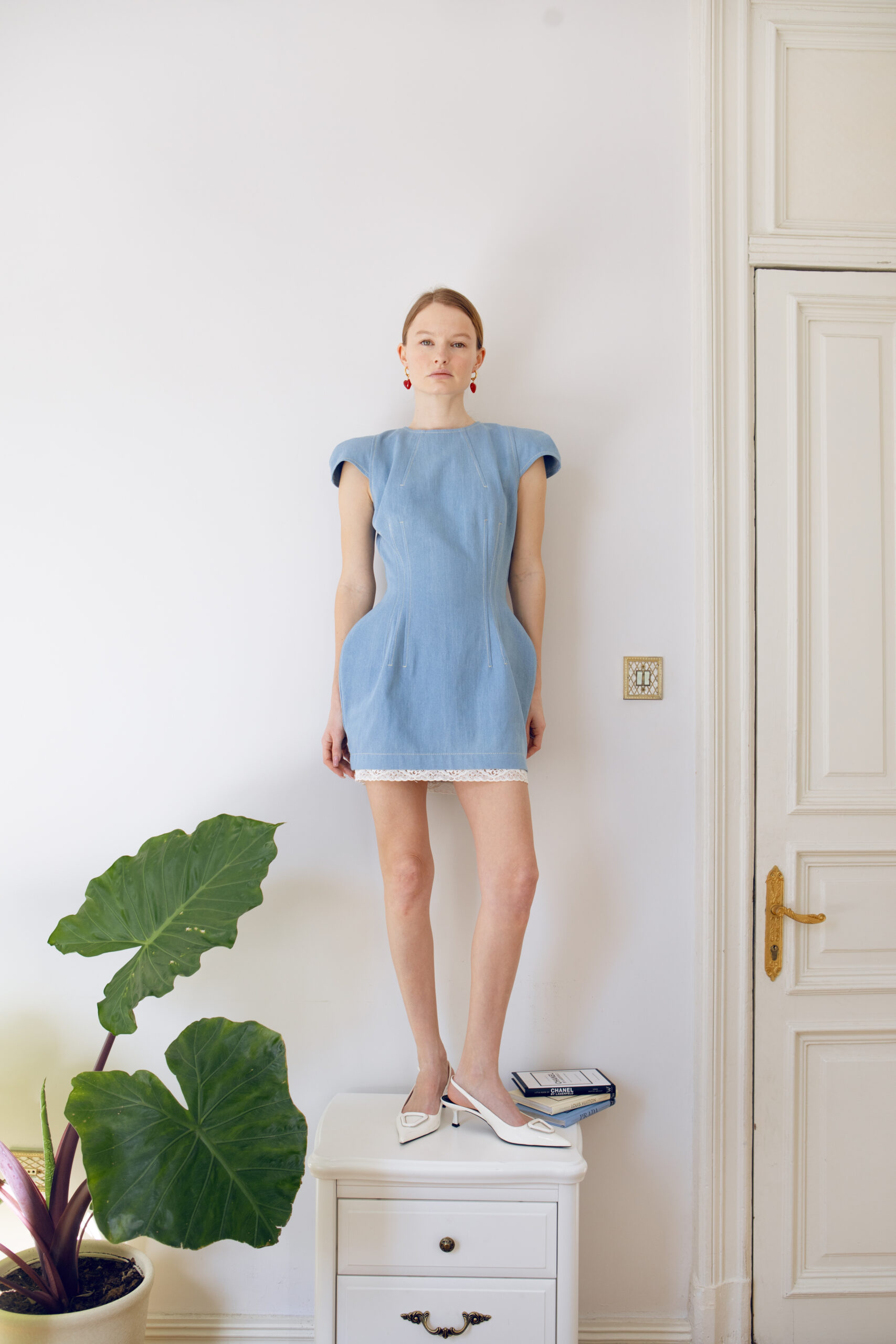 Daisy Denim Dress